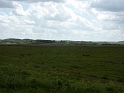 P1000645