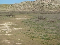 P1000672