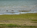 P1000674