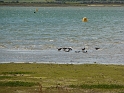 P1000675