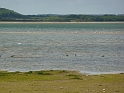 P1000676