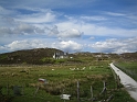 IMG_3594
