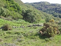 IMG_3596