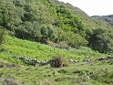 IMG_3597