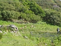 IMG_3599