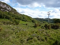 P1000711