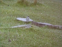 P1000733