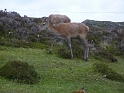 P1000743