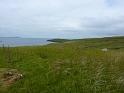 P1000758