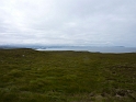 P1000768