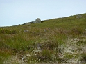 P1000771