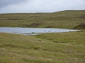 P1000774