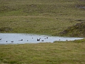 P1000775