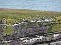P1000787
