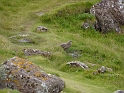 P1000806