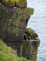 P1000808