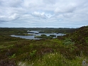 P1000859