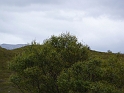 P1000870