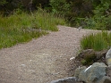 P1000874