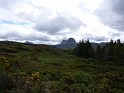 P1000886