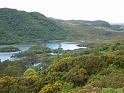 P1000888