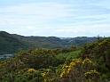 P1000890