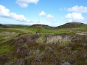 P1000898