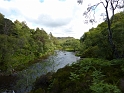 P1000902