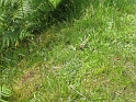 IMG_3707