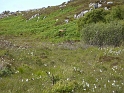 P1000937