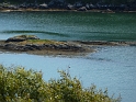 P1000944