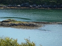 P1000945