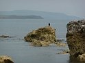 P1000991