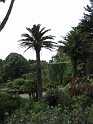 IMG_0058