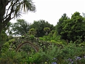 IMG_0064