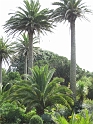 IMG_0070