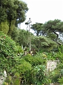 IMG_0071