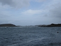 IMG_0080