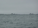 P1010119