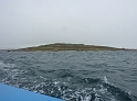 P1010120