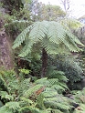 IMG_0195