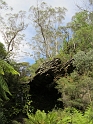 IMG_0196
