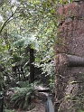 IMG_0198