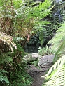IMG_0200