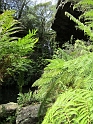 IMG_0201