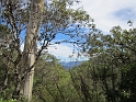 IMG_0205