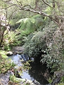 IMG_0207