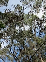 IMG_0209