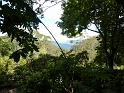 P1010196