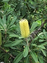 IMG_0260